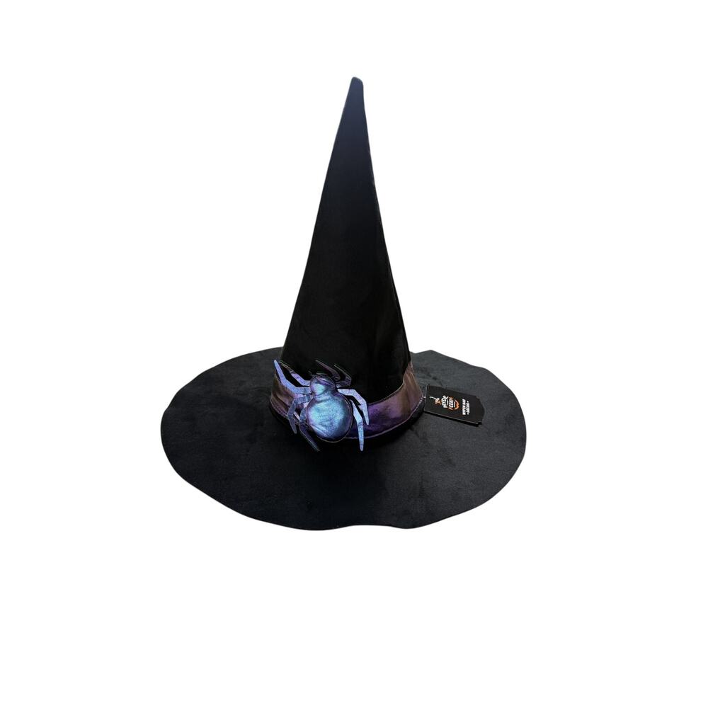 Hyde & EEK 12in Witch Hat Tabletop Decor Purple Spider Halloween